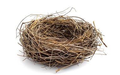Ebrace nest isolated on white background. 3D rendering.