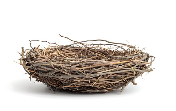 Ebrace nest isolated on white background. 3D rendering.