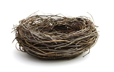 Obraz premium Ebrace nest isolated on white background. 3D rendering.