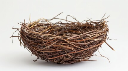 Obraz premium Empty Bird Nest Made of Twigs