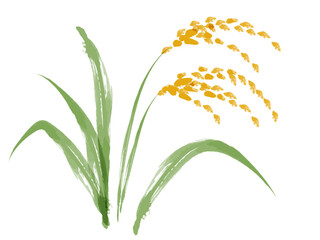 米 稲穂 筆書き_ベクターイラスト