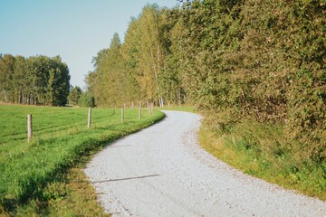 rocky road for passing meadows in the forest with a fence on a sunny evening