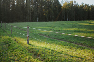 Fototapeta premium a large plot of meadow with a wooden fence in sunny summer weather