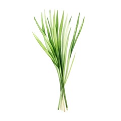 Obraz premium Delicate Watercolor Chive Sprig on Clean White Background