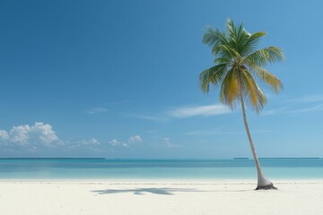 Obraz premium A single palm tree stands tall on a pristine white sandy beach, with turquoise blue water stretching out towards a clear blue sky. This image symbolizes solitude, tranquility, and the beauty of nature