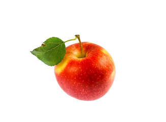 fresh picked single red gala apple isolated on white background