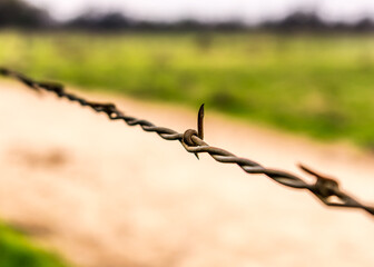 macro photo of barbed wire fence