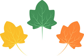 Fall autumnal decorative maple leaves flat style illustration