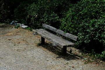 Fototapeta premium Decayed wooden bench in the park