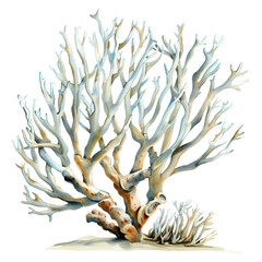 Intricate Coral Structure Representing Diverse Marine Life Habitat