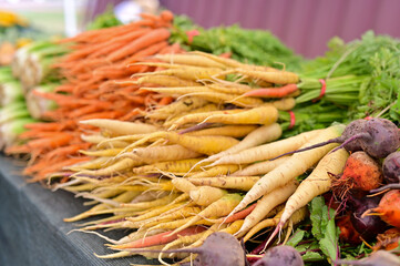 Fall Farmers Market Fresh Fall Produce