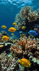 Fototapeta premium Colorful tropical fish swimming among vibrant coral reefs in clear blue waters of the ocean
