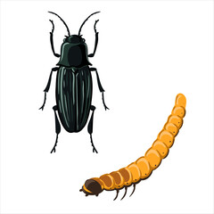 vector drawing larve of click beetle, wireworms isolated at white background, garden pest, hand drawn illustration