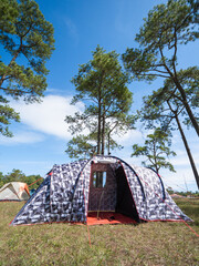 tent in the forest camping with blue sky and tree
