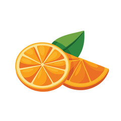 Orange slices isolated flat vector illustration on white background