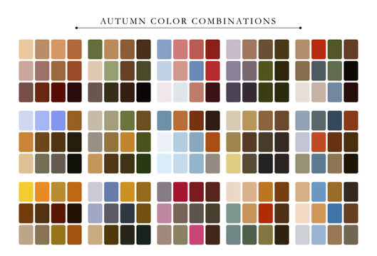Autumn color palette. Trend color palette guide template. Fit for fashion designers, business, and paints colors company. Match combinations. Vector graphics. Eps 10.