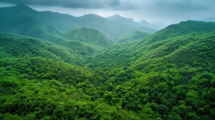 Obraz premium A lush green mountain range with dense forests and rolling hills