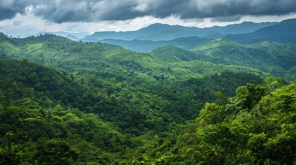 Obraz premium A lush green mountain range with dense forests and rolling hills