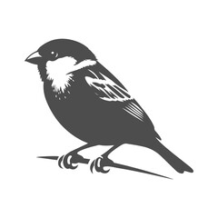 Beautiful sparrow vector, ideal for nature-inspired designs, wildlife illustrations, and bird lovers