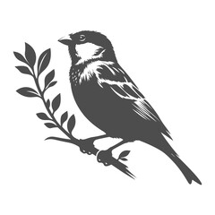Beautiful sparrow vector, ideal for nature-inspired designs, wildlife illustrations, and bird lovers