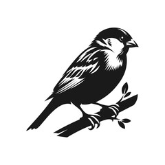 Black Sparrow Silhouette, vector artwork. Perfect for adding a touch of nature to creative projects.