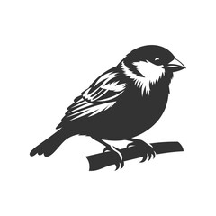 Black Sparrow Silhouette, vector artwork. Perfect for adding a touch of nature to creative projects.