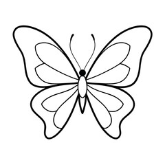     Butterfly vector illustration.
