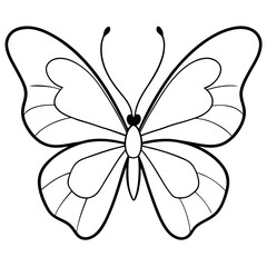     Butterfly vector illustration.
