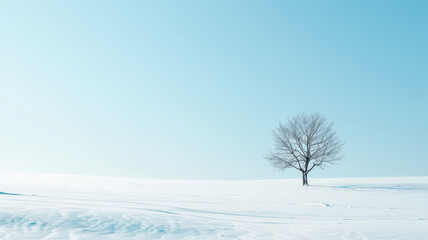 Obraz premium Minimalist winter landscape with a single bare tree on a snow-covered field under a clear blue sky