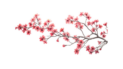 Fototapeta premium Painted Frame Overlays with Tree Branch Flowers - Transparent Background for Artful Photos