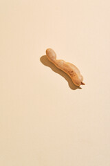 single tamarine with beige background; perfect for organic, natural, earthy designs like packaging, stationery, or digital backgrounds.