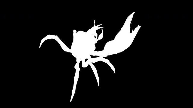 3d Illustration of a Fiddler crab. a strong carapace for protection and a giant orange claw as a weapon for defense, isolate on Green background with alpha channel.