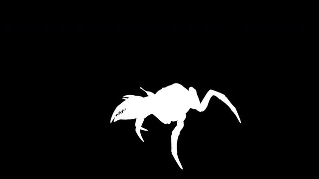 3d Illustration of a Fiddler crab. a strong carapace for protection and a giant orange claw as a weapon for defense, isolate on Green background with alpha channel.