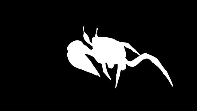 3d Illustration of a Fiddler crab. a strong carapace for protection and a giant orange claw as a weapon for defense, isolate on Green background with alpha channel.