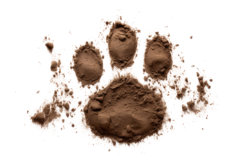 A high-resolution shot of a bear's paw print in the mud, with clear details of the claws and pads, isolated on white background