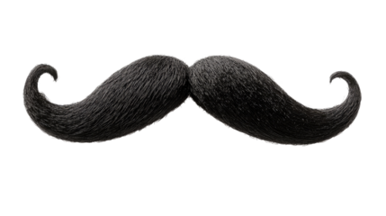 Black moustache isolated on white background 