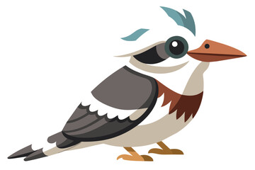 kookaburra Bird  vector art and illustration