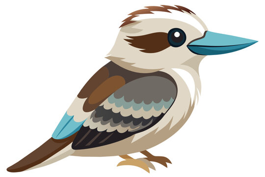 recommend clip art: kookaburra Bird  vector art and illustration