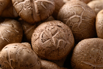 Fresh shiitake mushroom texture background, edible mushroom and food ingredient in Asian cuisine