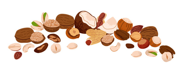 Nuts set. Walnuts, hazelnuts and coconut. Healthy vegan snack pistachios, chestnuts and almond, cashews and peanuts. Different superfood. Natural food, vector cartoon flat isolated illustration