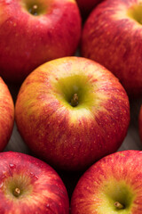 Red apple fruit (Envy apple) texture background