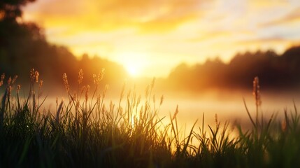 A serene landscape scene with soft focus, capturing the tranquility of a sunrise over a foggy lake. The rising sun casts a warm glow on the grass and creates a dreamlike atmosphere.