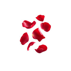 Beautiful red rose petals scattered on a black background