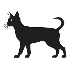 This is a simple black and white illustration of a cat silhouette. The cat is sitting with its tail curled.