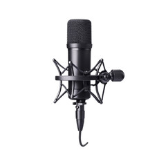 Professional condenser microphone with shock mount for recording audio