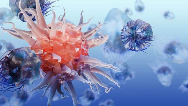 body immune response viral infection by releasing Cytokines, Cancer Immunotherapy, T cell and B-cell immune system fighting viruses, Macrophage, Dendritic or cancer tumor cells, Bacteria, 3d render 