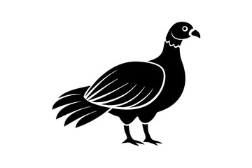 illustration of a chicken