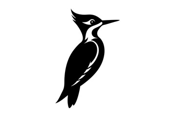 illustration of a bird