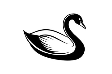 black swan vector illustration