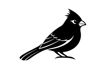silhouette of a bird